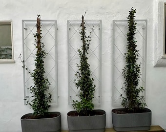 3 Set Commercial Grade Diamond Trellis, Garden Trellis Set For Live Wall, Climbing Plants, Plant Support Aesthetic Metal Decor Easy Assembly