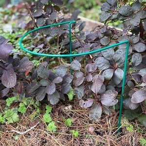 May include: Green metal plant support cage for a small bush or plant. The cage is made of two pieces of metal that form a circle and a vertical support.