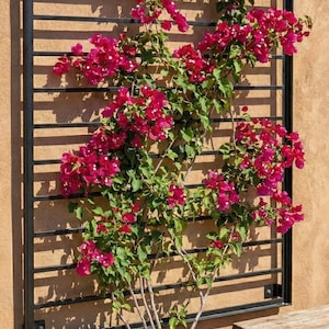 Horizontal Bar Trellis, Wall Mounted / Stand Alone, Modern Metal Horizontal Trellis Custom Made, Powder Coated Horizontal Slatted Trellis