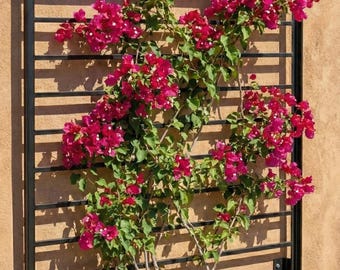 Horizontal Bar Trellis, Wall Mounted / Stand Alone, Modern Metal Horizontal Trellis Custom Made, Powder Coated Horizontal Slatted Trellis