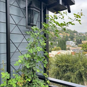 Heavy Gauge Diamond Pattern Trellis For Living Wall, Outdoor Vertical Growing Panel, Metal Trellis Freestanding, Metal Trellis Ground Plants
