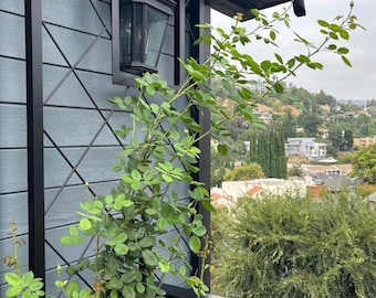 Heavy Gauge Diamond Pattern Trellis For Living Wall, Outdoor Vertical Growing Panel, Metal Trellis Freestanding, Metal Trellis Ground Plants