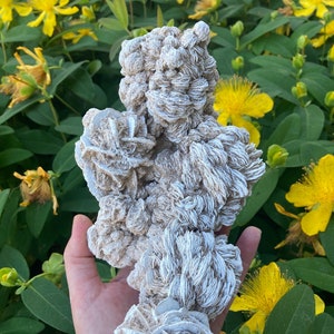 Selenite Desert Rose, Gypsum Rose, Self Care Crystal, Natural Home Decor