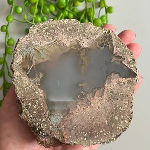 May include: A large, gray agate geode with a rough, brown exterior. The geode is cut in half, revealing a hollow interior with a smooth, white surface.