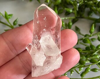 May include: A clear quartz crystal cluster with multiple points. The crystal is translucent and has a natural, raw appearance.
