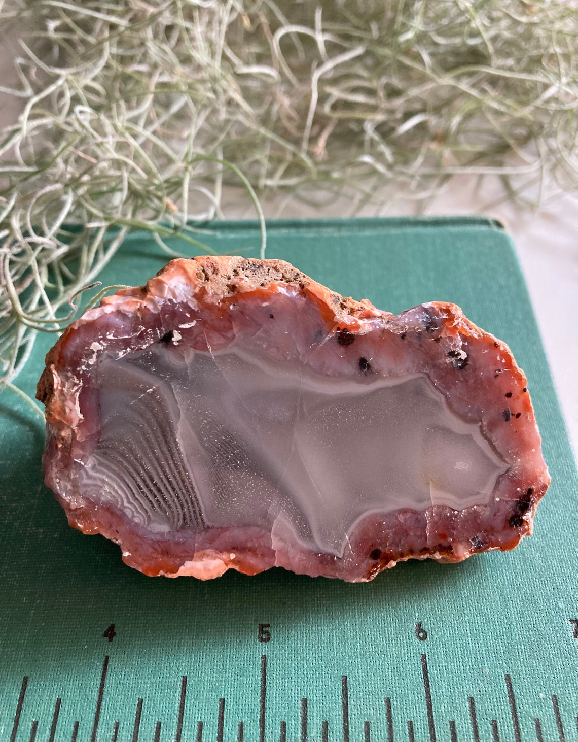 Agate Geode Thunder Egg Agate Polished Thunder Egg Flower Etsy