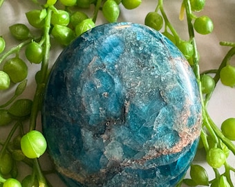 May include: A polished, round, teal-colored stone with brown and white veining. The stone is surrounded by green, spherical plant stems. The stone's surface has a textured appearance, with variations in color and pattern.