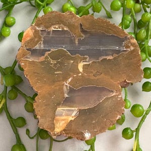 May include: A natural, irregularly shaped stone slab with a mix of brown, tan, and gray hues. The stone has a rough, textured surface with visible layers and patterns. Green, round decorative elements are in the background.
