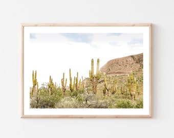 Desert Vibes, Todos Santos Mexico Photography, Baja, Wall Art, Art Print, Travel Photo, Home Decor, Around the World Series