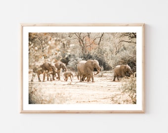 Elephant Family, South Africa Photography, Kruger National Park, Wall Art, Art Print, Travel Photo, Home Decor, Around the World Series