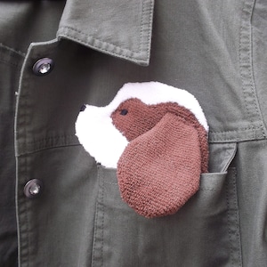 May include: A brown and white plush dog toy is tucked into the pocket of a green jacket. The jacket has a button closure and is made of a durable fabric.