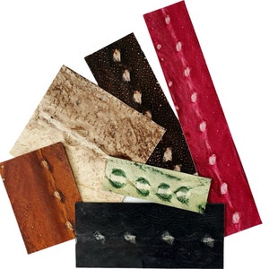 Fish skin pre-cut sturgeon leather pieces, leather for inlays, decor, jewelry