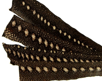 Exotic fish leather hides for crafts, decor needs, creative leather projects, luxury goods, jewelry, shoes