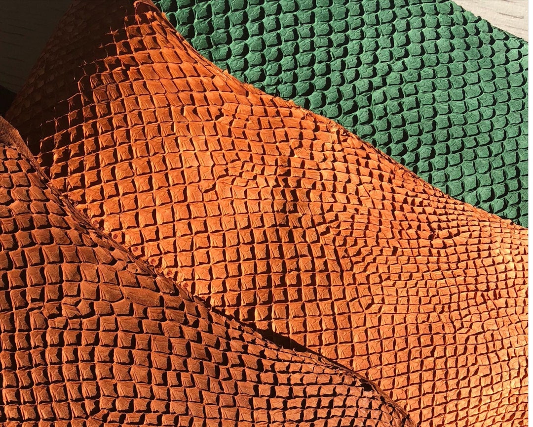 Salmon Fish Leather of Different Colors Leather for Wallets Etsy