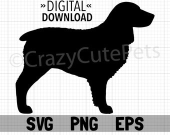 Boykin Spaniel Silhouette Digital Download SVG EPS PNG Dog Breed Shape for Cricut Cutter and More