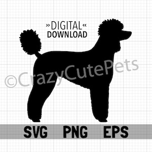 Descarga digital de silueta de caniche estándar SVG PNG EPS Archivos Forma de raza de perro para Cricut Cutter y más