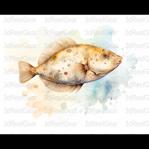 Flounder Watercolor - Digital Download