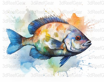 Bluegill Watercolor - Digital Download