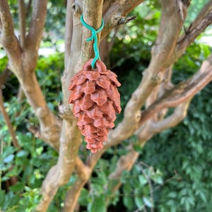 Pinecone Geocache for Geocaching Enthusiasts - Hidden Gems in Nature: Durable