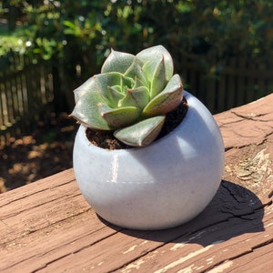 Circular Round Planter Angled Top | Succulent Plant Pot | Geometric Design | 3d Printed