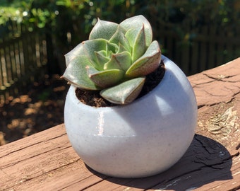 Circular Round Planter Angled Top | Succulent Plant Pot | Geometric Design | 3d Printed