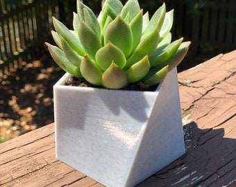 Square Twisting Planter | Succulent Plant Pot | Geometric Design | 3d Printed