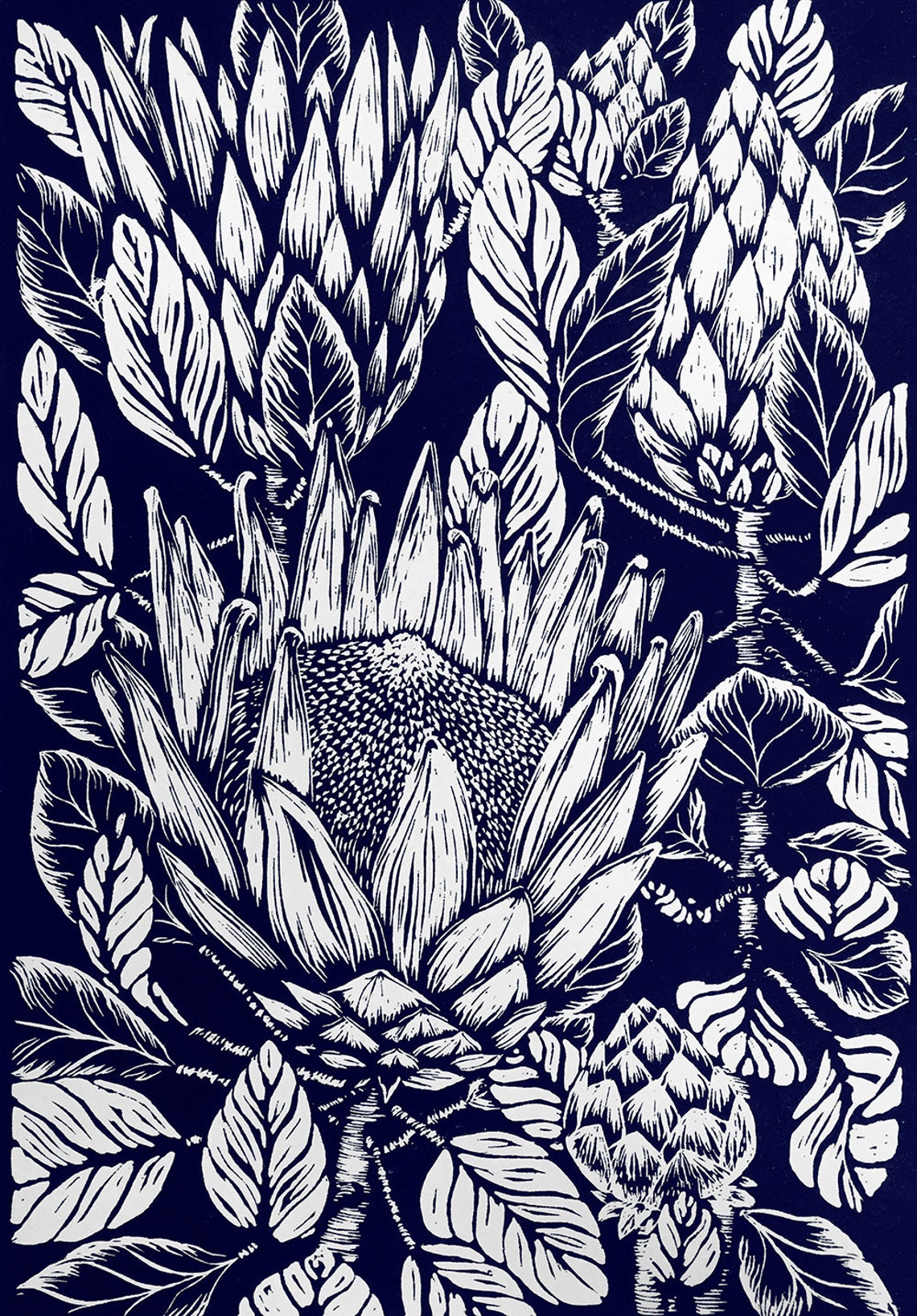King Protea Limited Edition Lino Print - Etsy