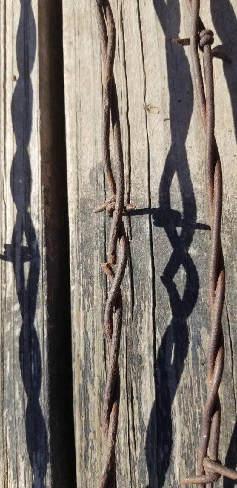 Five Rusty Barbd Wire Strands
