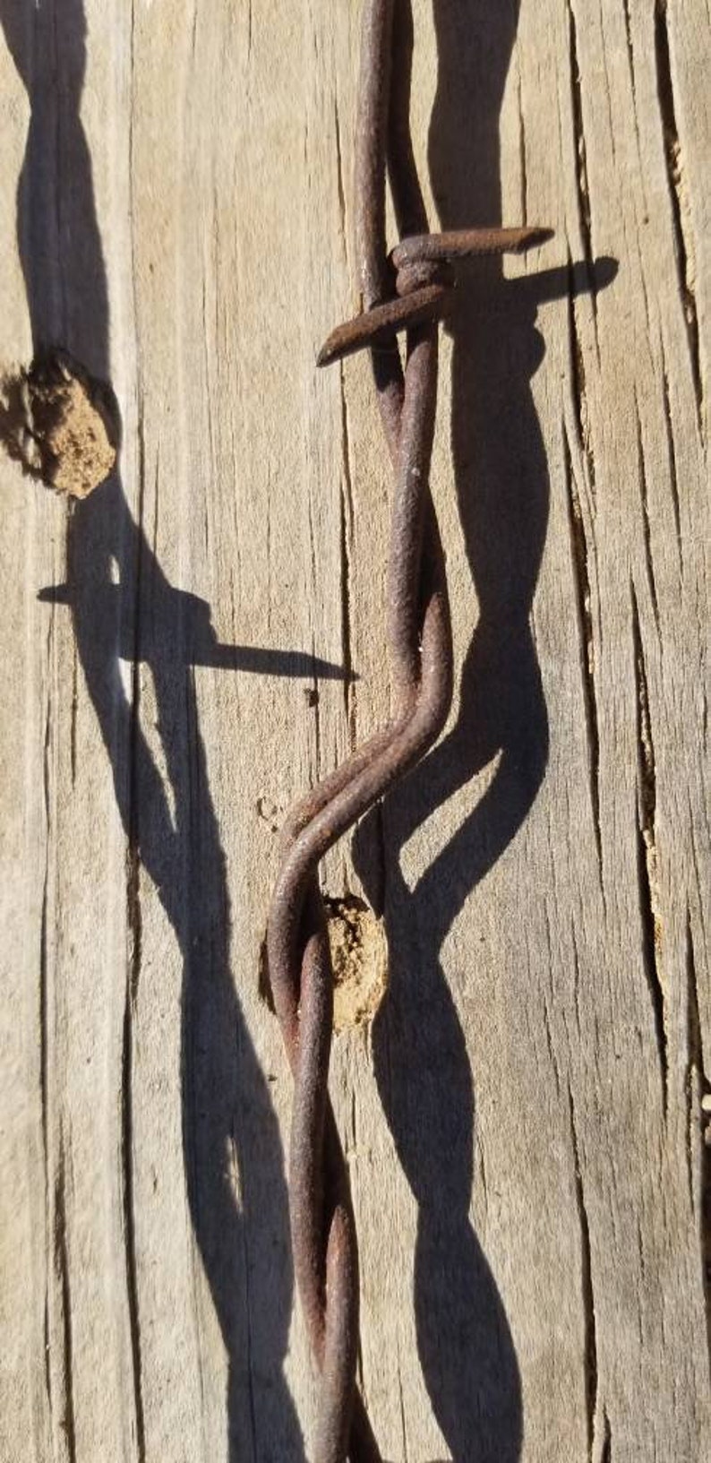 Five Rusty Barbd Wire Strands