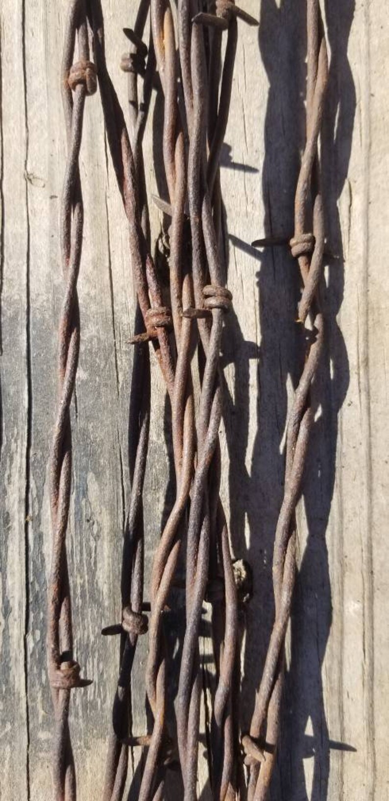 Five Rusty Barbd Wire Strands