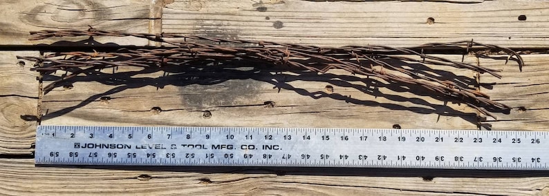 Five Rusty Barbd Wire Strands