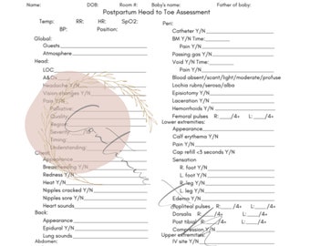 Postpartum Nursing Assessment Brain Sheet