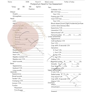 Postpartum Nursing Assessment Brain Sheet
