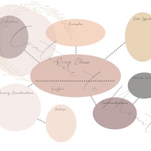 May include: A pink and beige mind map with the words "Drug Class" in the center. The map includes categories such as "Indications", "Examples", "Side Effects", "Nursing Considerations", "Suffix", "Hold for", "Contraindications", and "Black Box Warnings".