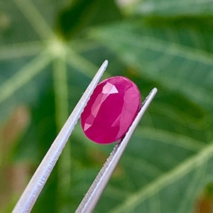 Può includere: Un rubino sfaccettato di forma ovale, tenuto da pinzette d'argento. La gemma è di un colore rosso intenso e vibrante, con molteplici sfaccettature che catturano la luce. Lo sfondo è verde sfocato.