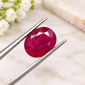 Könnte beinhalten: Ein leuchtender, oval geschliffener Rubin mit tiefroter Farbe und facettierter Oberfläche, der von einer silberfarbenen Metallpinzette gehalten wird. Der Edelstein zeigt innere Klarheit und Lichtreflexionen auf seiner polierten Oberseite.