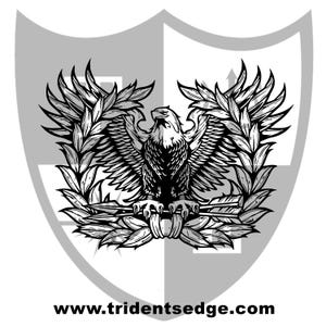U.S. Army Warrant Officer Insignia - New Style