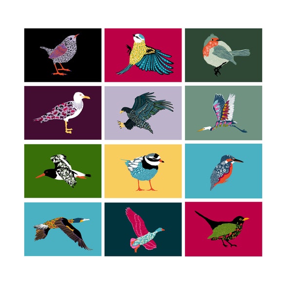 Postcard Set 12 Cards - BIRDS