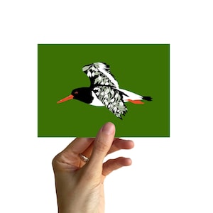 Postcard A6, OYSTERCATCHER with lily of the valley