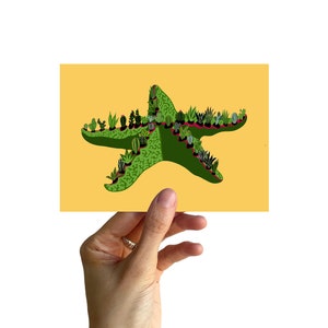 Carte postale A6, étoile de mer avec cactus