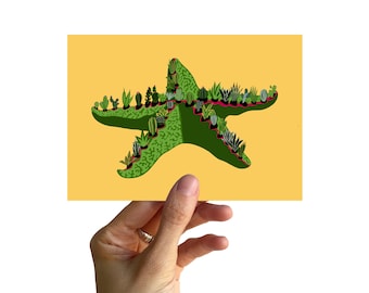 Postcard A6, starfish with cacti