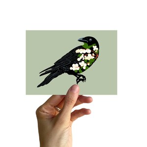 Postkarte A6, RABE mit Knallerbsen