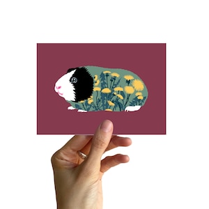 Postkarte A6, MEERSCHWEIN mit Butterblumen