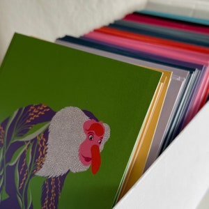 May include: A stack of colorful greeting cards with a green card on top featuring an illustration of a monkey with a pink nose and white fur.