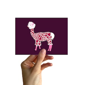 Carte postale A6, ALPAGA avec coeurs