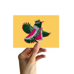 Postal A6, carriça, contos de fadas, contos de fadas dos Grimm