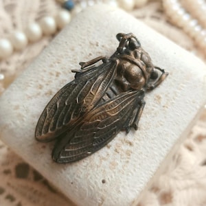 RARE Beautiful French Antique Art Nouveau Cicada Brooch, French c1900s Realistic Cicada Insect Brooch, Bug Jewelry, Gift for Her or Him