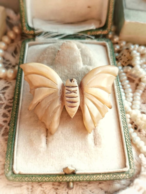 RARE Big Carved Horn 1900s Moth Antique French Br… - image 1