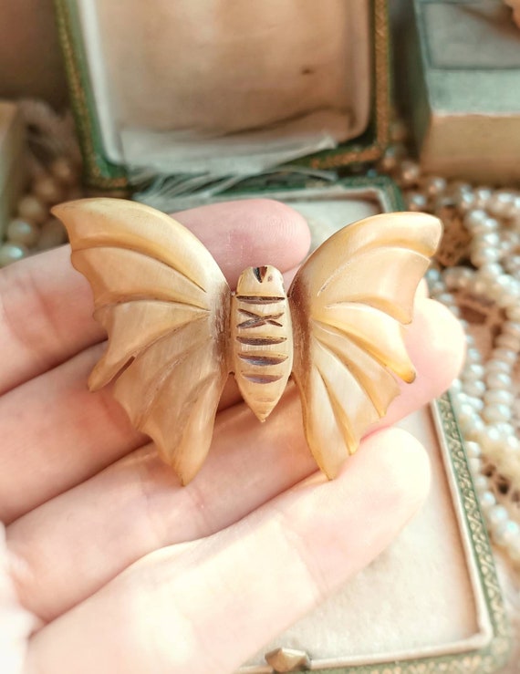 RARE Big Carved Horn 1900s Moth Antique French Br… - image 5