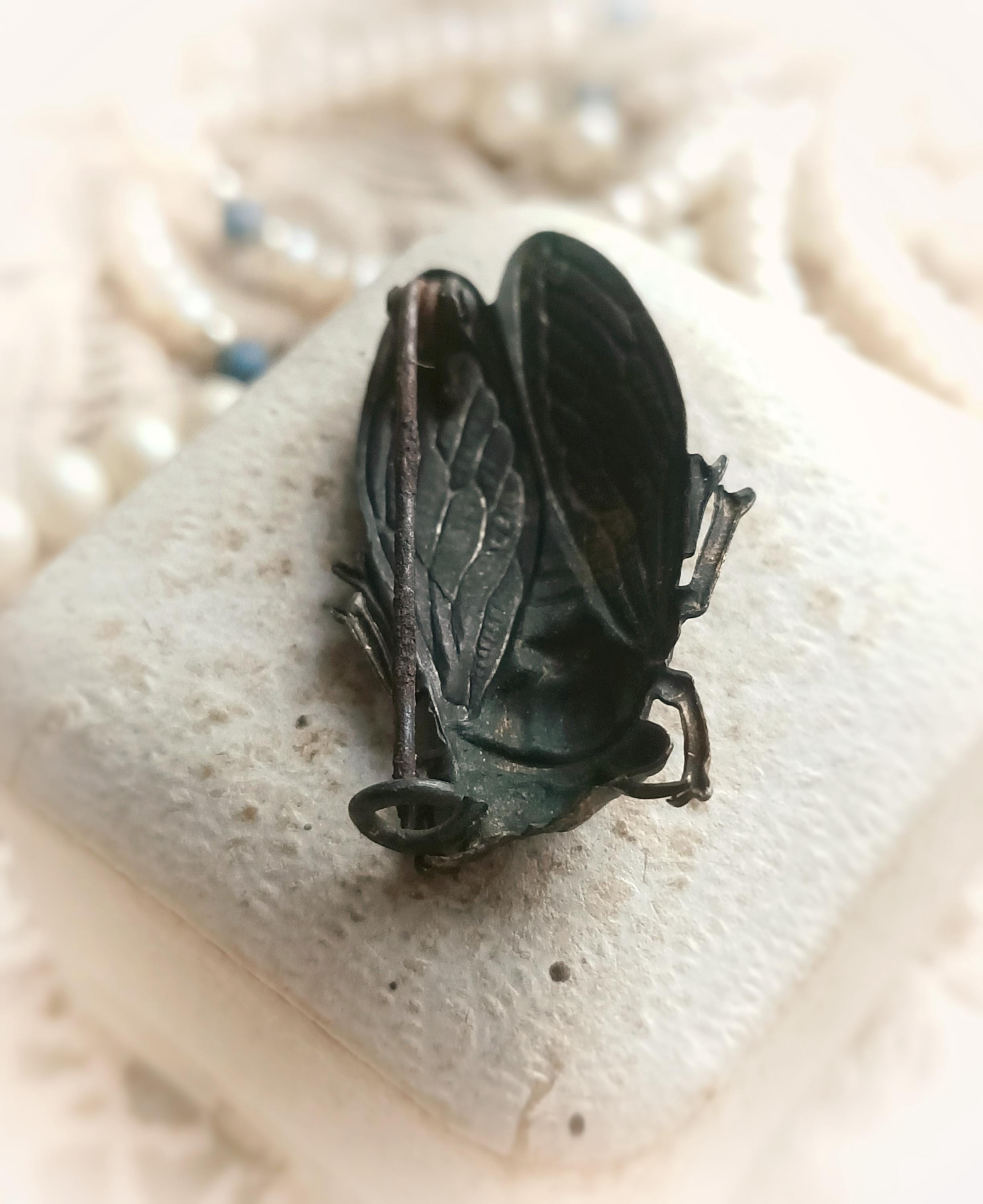 Broche Cigale Art Nouveau En Corne Blonde - Bijou Ancien Unisexe - Collection 1900 - Occasion